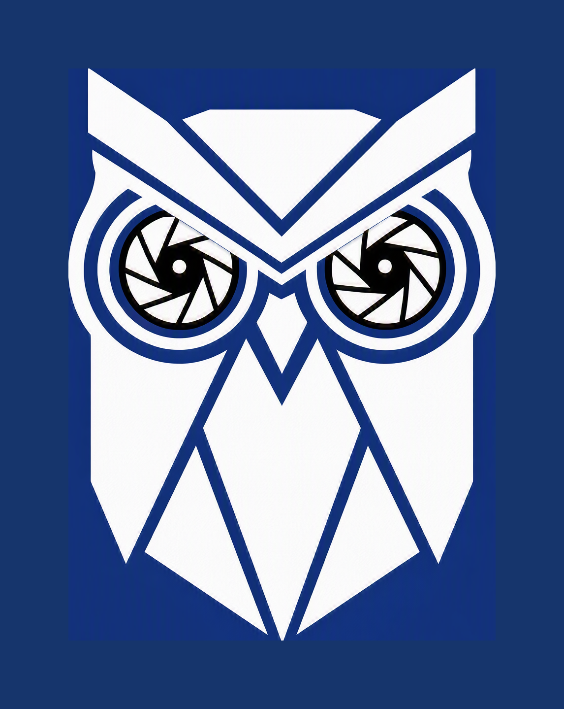 Owls Nest Solutions owl emblem
